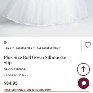 Plus Size Ball Gown Silhouette Slip